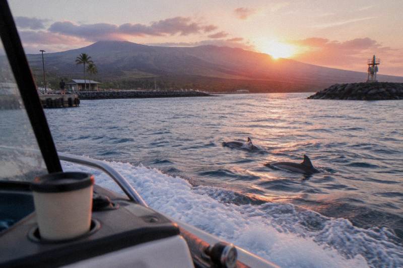 A boat on open ocean off the Big Island at sunrise on a dolphin and whale cruise