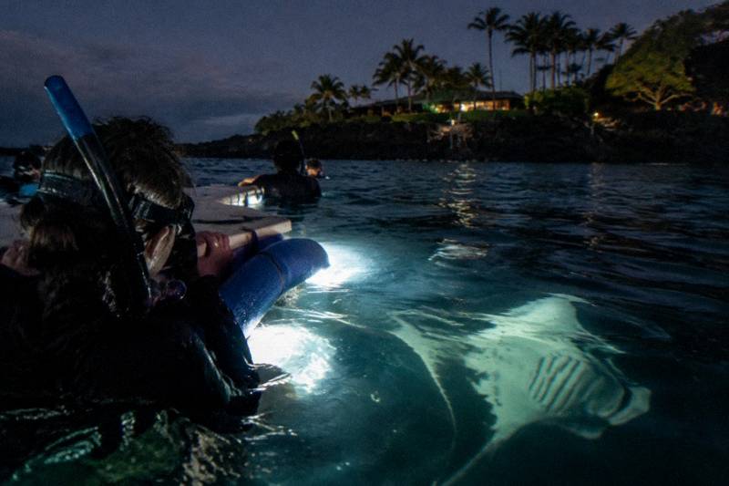 Snorkelers floating at night around a lit manta ray viewing platform off Kona
